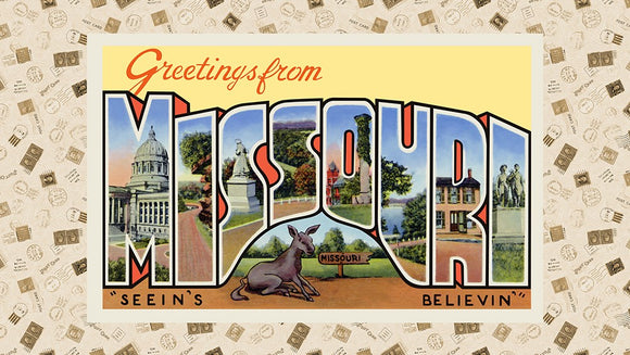 All State Missouri Shop Hop:  Panel